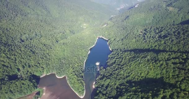 Vista aérea do Lago Biogradsko, parque nacional Biogradska Gora em Montenegro — Vídeo de Stock