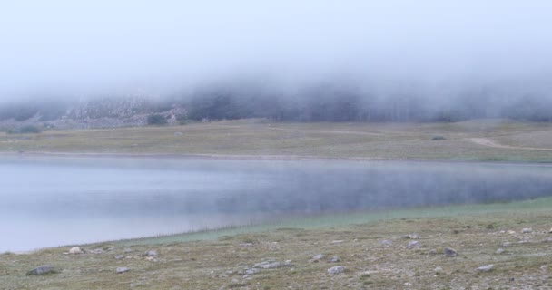 Прекрасное мистическое Черное озеро, Национальный парк Дурмитор. Черногория — стоковое видео