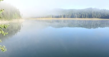 Güzel mistik Kara Göl, Durmitor Milli Parkı. Karadağ
