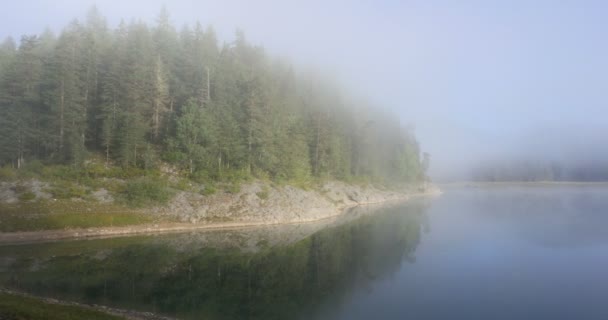 Vackra mystiska svarta sjön, Durmitor National Park. Montenegro — Stockvideo