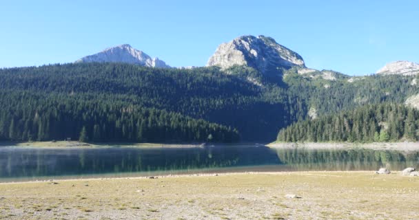Krásné mystické Černé jezero, národní Park Durmitor. Černá Hora — Stock video