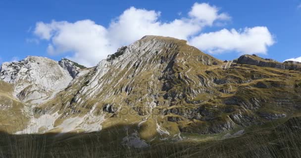 Bergen binnen een nationaal park Durmitor — Stockvideo