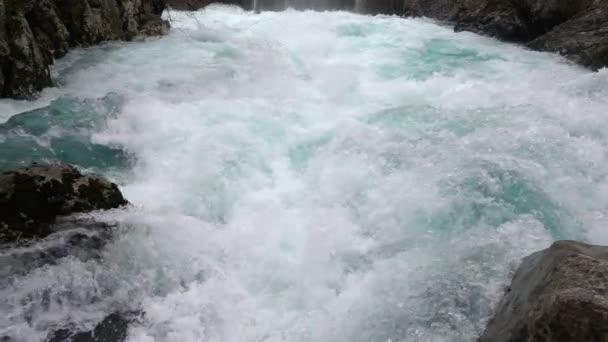 Un torrente in rapido movimento del fiume di montagna — Video Stock
