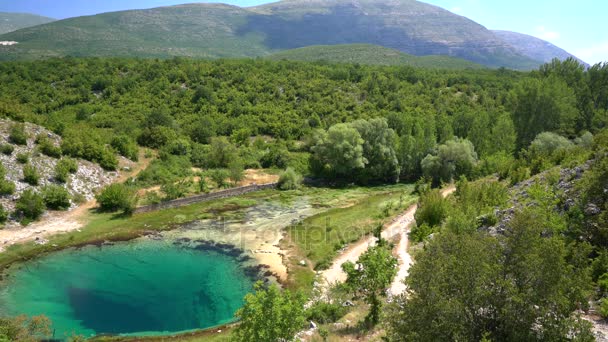 Fonte de água Cetina nascente na Croácia — Vídeo de Stock