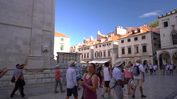 Dubrovnik, Croacia - 19 de julio de 2016: Plaza Luza en el casco antiguo — Vídeo de stock