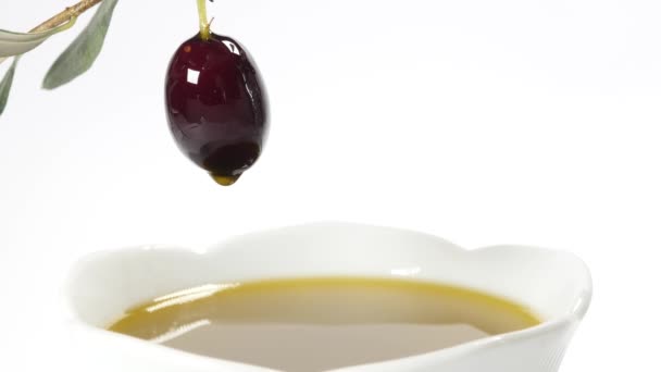 Una gota de aceite de oliva que cae de una aceituna negra — Vídeos de Stock