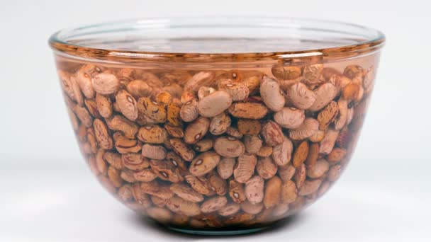 Dried orange coloured beans absorb water as they soak overnight to rehydrate — Stock Video