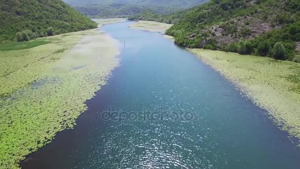 Karadağ 'ın Crnojevica Nehri Kanyonu, hava manzaralı. — Stok video