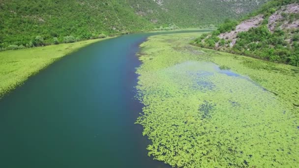 Karadağ 'ın Crnojevica Nehri Kanyonu, hava manzaralı. — Stok video