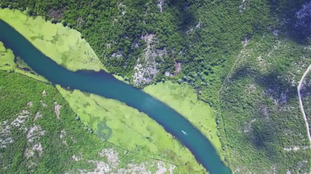 A Crnojevica folyó kanyonja, Montenegró, légi kilátás. — Stock videók