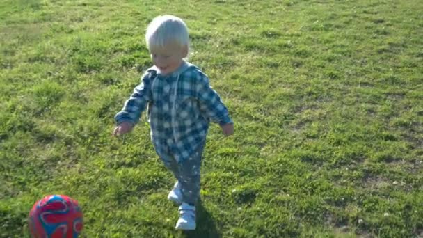 Um menino de um ano e meio alegremente persegue a bola no campo — Vídeo de Stock