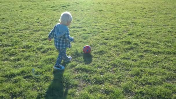 Anderhalf jaar oude jongen jaagt vreugdevol de bal op het veld — Stockvideo