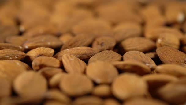 Arrière-plan rotatif d'amandes — Video