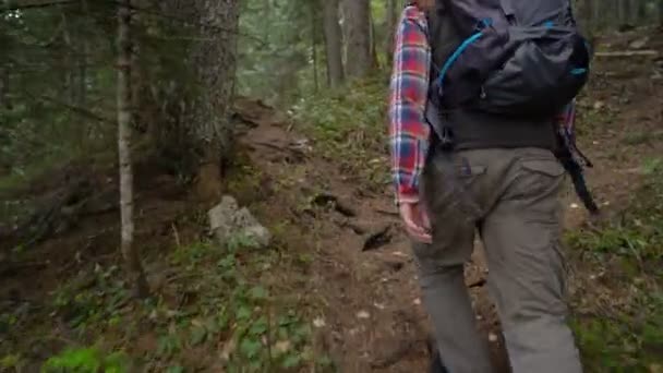 バックパック旅行者は森林を通って歩く — ストック動画