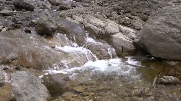 Een bergbeek en een schilderachtige lake — Stockvideo