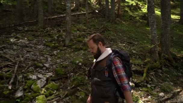 Resenär med en ryggsäck promenader genom skogen — Stockvideo