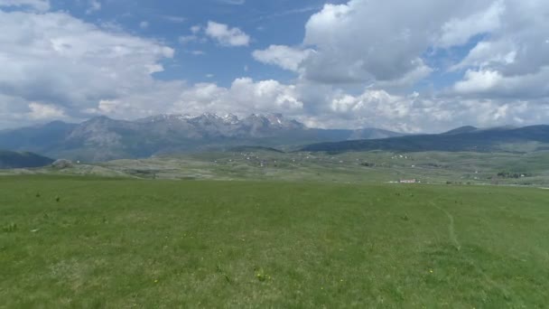 Luftaufnahme eines Fluges über ein Grasfeld in einem Gebirgstal — Stockvideo