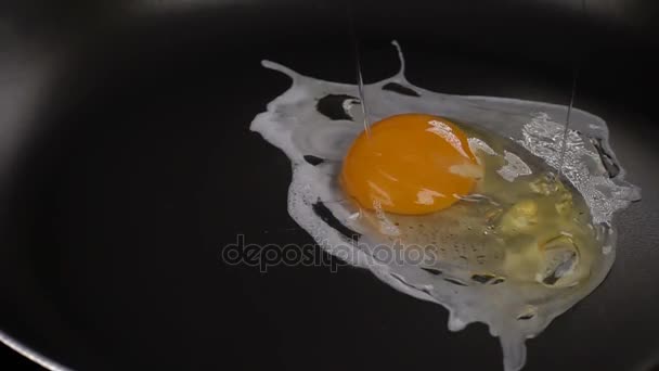Яйцо падает на горячую сковородку — стоковое видео