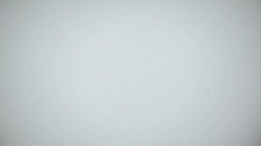 Yaban mersini organik yoğurt içine düşmek