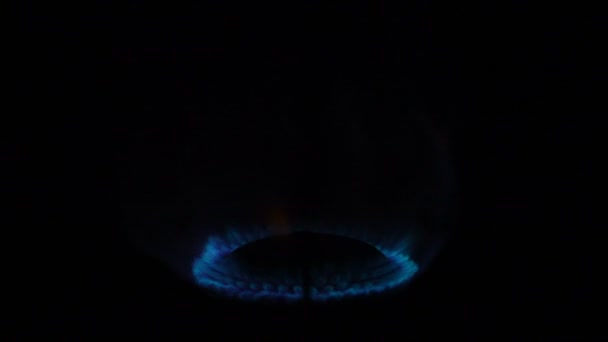 Blaues Gasfeuer brennt — Stockvideo