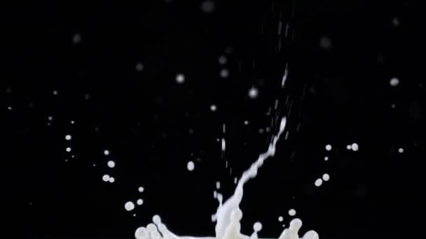 Framboise fraîche éclaboussant dans la crème 