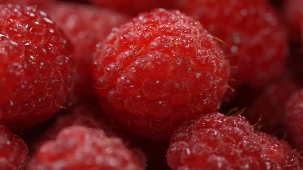 Ripe juicy raspberry rotates — Stock Video