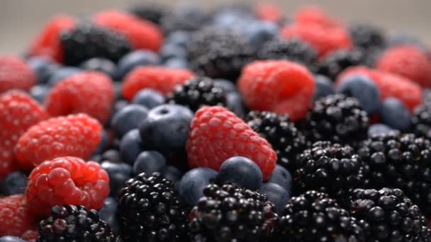 Fresh raspberries, blackberries and blueberries — Stock Video