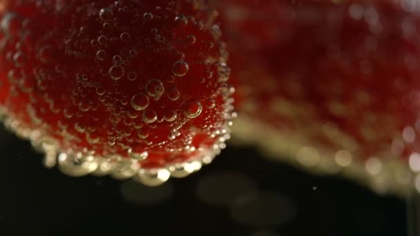 香槟配新鲜树莓 — 图库视频影像