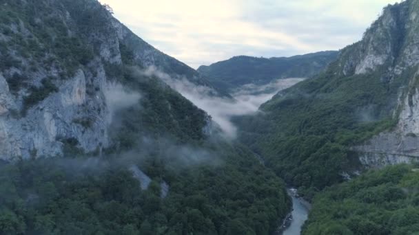 Tara nehir kanyonun sabaha havadan görünümü — Stok video