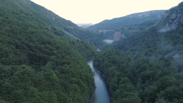 Пташиного польоту Тара Durdevica дуги мосту в горах, один з найвищих автомобільні мостів у Європі. — стокове відео