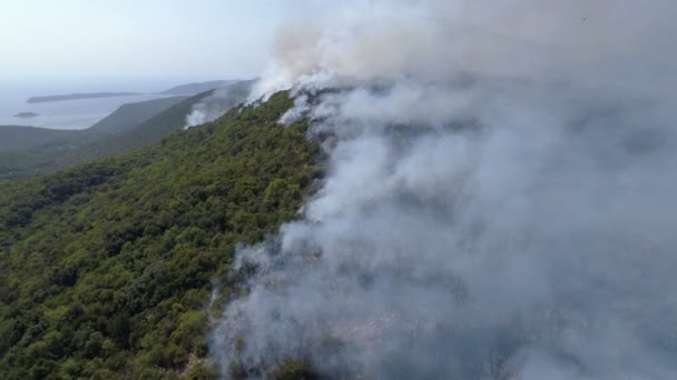 Widok z lotu ptaka z krzewów palenie na wzgórzach — Wideo stockowe