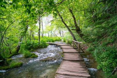 Hırvatistan - yaz aylarında milli park Plitvice Gölleri