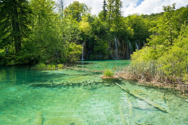 Plitvice lakes of Croatia - national park in summer — Stock Photo, Image