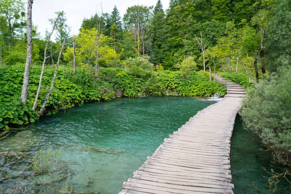 Plitvice lakes of Croatia - national park in summer — Stock Photo, Image