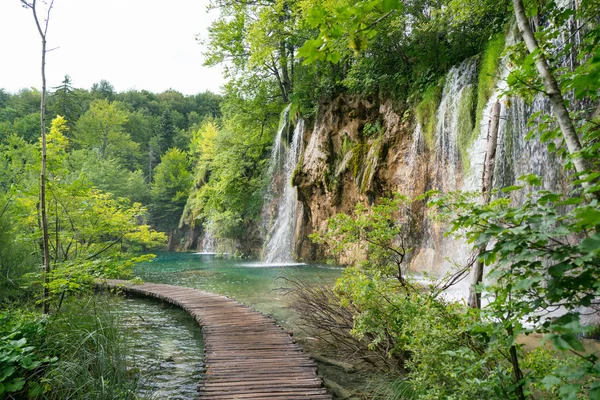 Lacs de Plitvice en Croatie - parc national en été — Photo