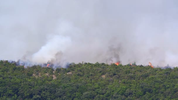 Arbustos queimando nas colinas — Vídeo de Stock