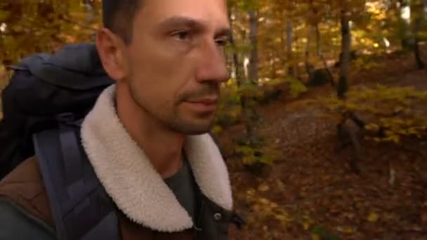가을 숲 속을 걷다 — 비디오