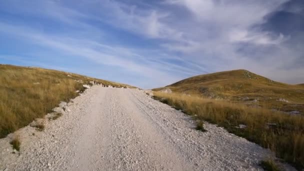 Carretera de grava vista en primera persona — Vídeo de stock