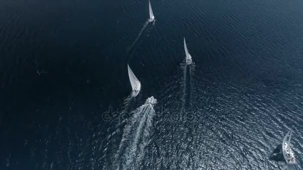 Iates de vela vista aérea — Vídeo de Stock