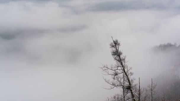 Niebla en las laderas de las montañas — Vídeo de stock