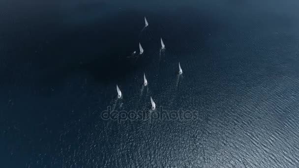 Vista aérea yates de vela — Vídeo de stock