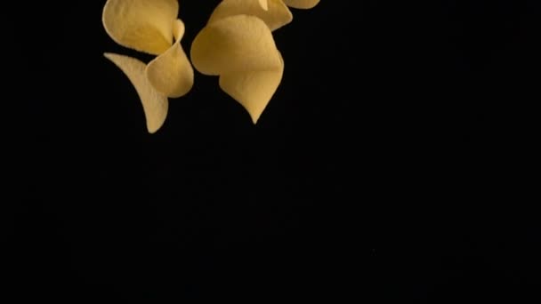 Batatas fritas em queda livre em um fundo preto — Vídeo de Stock