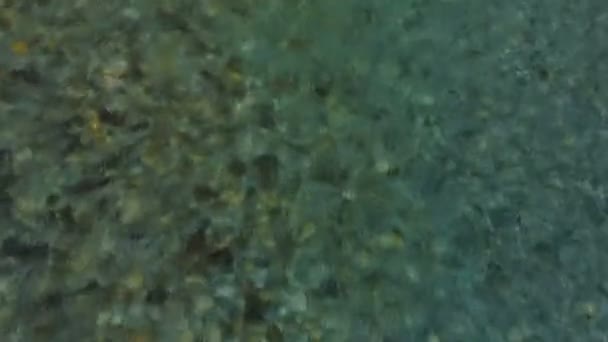 透明な山川 Moraca、モンテネグロに飛行 — ストック動画