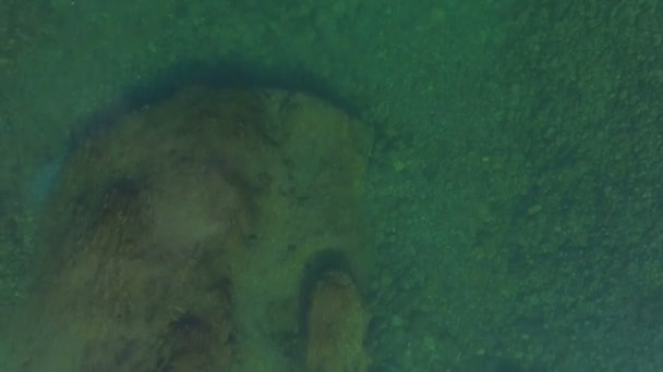 survolant la surface transparente de l'eau 