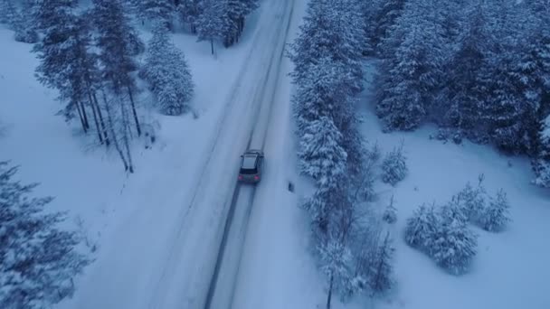 Срібний автомобіль їде по зимовій заміській дорозі в засніженому лісі — стокове відео