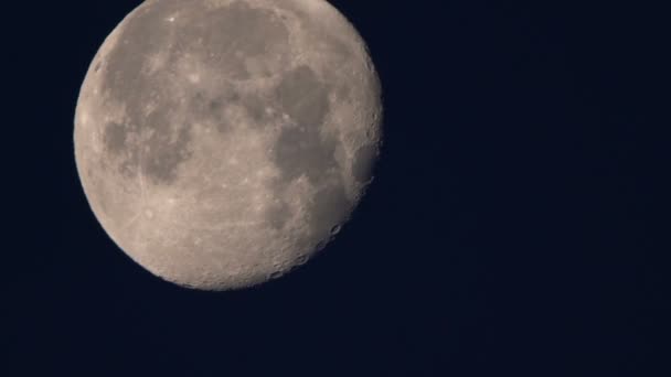 Fasen av fullmånen, i realtid flyttar — Stockvideo