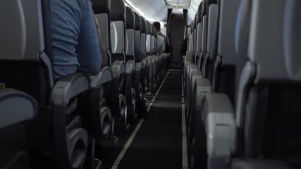 Passagiere in bequemen Sitzen im Flugzeug — Stockvideo