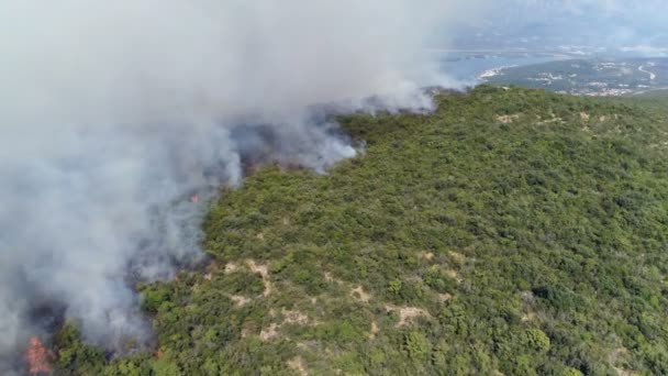 vue aérienne des buissons en feu dans les collines 