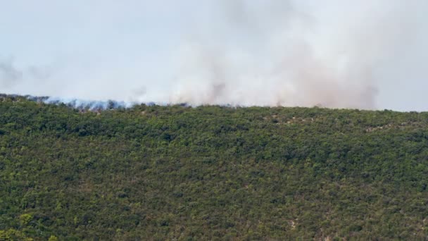 Buissons brûlants dans les collines — Video