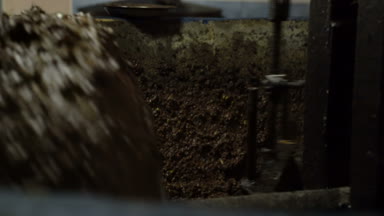 Zeytin zeytinyağı üretimi sırasında taşlama